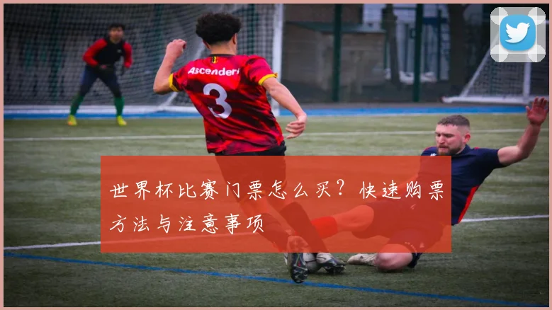 世界杯比赛门票怎么买？快速购票方法与注意事项