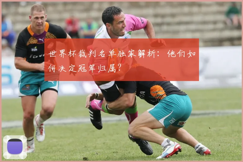 世界杯裁判名单独家解析：他们如何决定冠军归属？