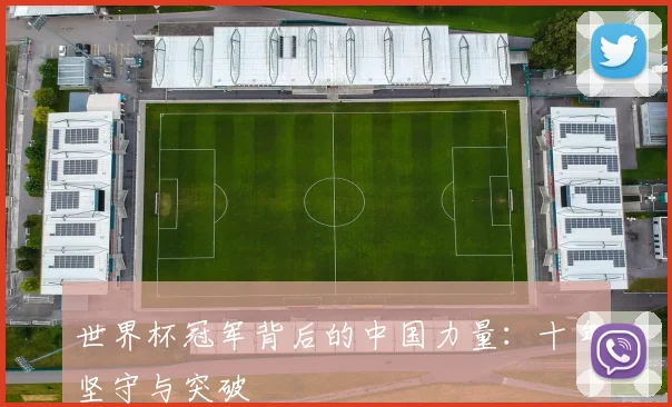 世界杯冠军背后的中国力量：十年坚守与突破